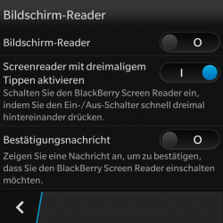 Screenshot Screen-Reader 1