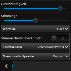 Screenshot Screen-Reader 3