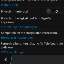 Screenshot Zugänglichkeit 2